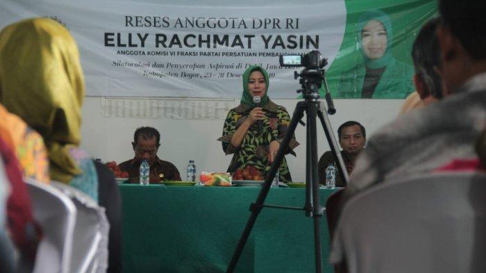 anggota DPR RI Elly Rachmat Yasin