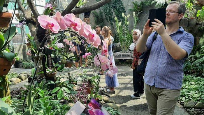 Kebun Raya Bogor memiliki Griya Anggrek yang memiliki puluhan koleksi.