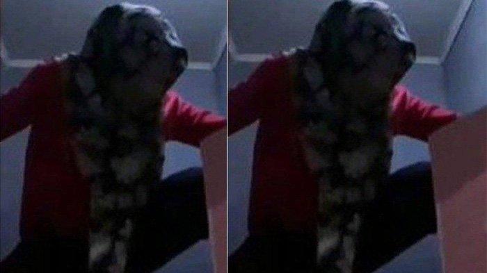 Viral aksi seorang istri polisi lakukan hal nekat di luar nalar setelah digerebek keluarganya sedang selingkuh dengan ASN. Sang istri polisi dan ASN itu pun digelandang ke kantor polisi