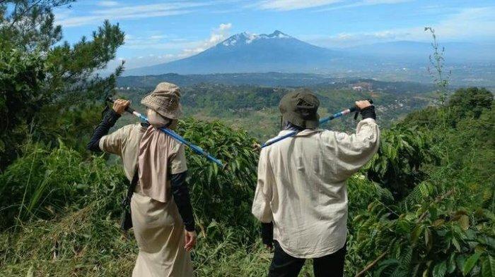 Di puncak tempat wisata Bukit Paniisan Bogor ini, kamu dapat menyaksikan pemandangan kota dengan latar belakang gunung.