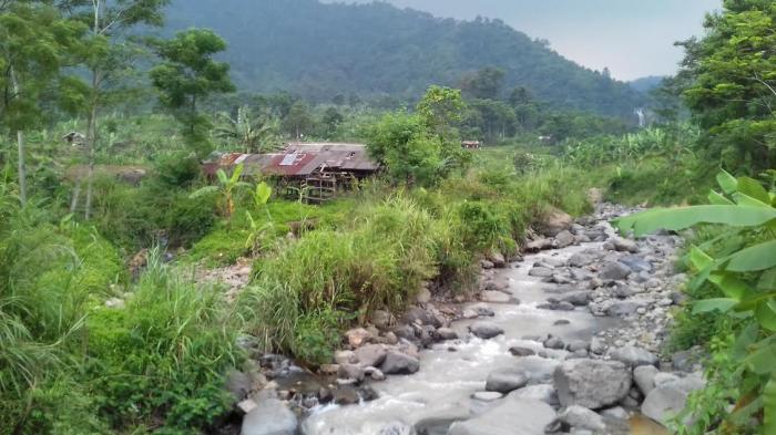 Jalur jalan setapak menuju lokasi Curug Cibingbin, Babakan Madang, Sentul, Kabupaten Bogor.