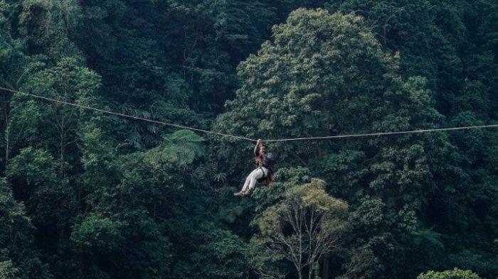 Rekomendasi tempat wisata di Bogor, Ciapus, salah satunya Bogor Treetop Zipline Adventure di Sukajadi, Bogor.