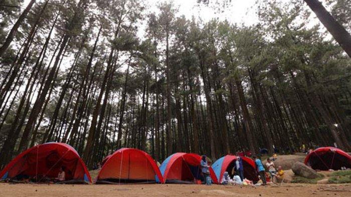 Rekomendasi tempat wisata di Bogor yang berhawa sejuk, salah satunya Gunung Pancar yang tawarkan pemandangan alam berupa hutan pinus.