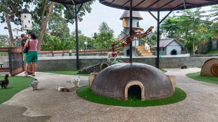 Salah satu tempat wisata di Bogor bertemakan hewan yang unik adalah Boxzoo, sebuah mini zoo yang berada di dalam Boxies 123 Mall.