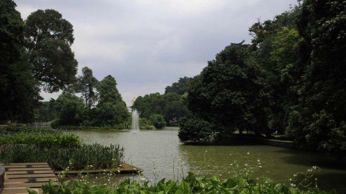 Tak afdol rasanya jika ke Bogor tapi tak mengunjungi tempat wisata ini. Pasalnya, Kebun Raya Bogor merupakan salah satu tempat wisata ikonik di Kota Hujan dan sangat populer.
