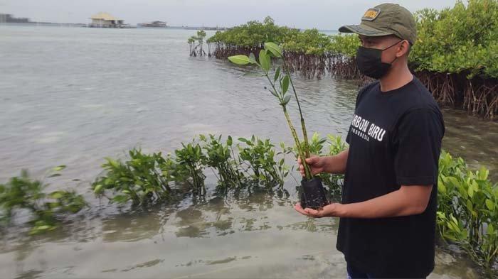 Aksi Siswa SMA Tanam Mangrove dan Lamun di Pulau Harapan pada Sabtu (18/12/2021)