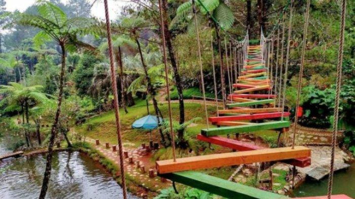 Selain pemandangan yang cantik, tempat wisata di Bogor ini juga menawarkan harga tiket yang murah meriah. Salah satunya Melrimba Garden yang menyajikan hamparan kebun bunga sangat luas.
