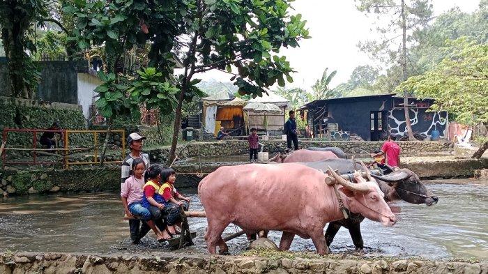 Banyak aktivitas yang bisa dilakukan di Taman Wisata Matahari. Sebab tempat wisata di Bogor ini mengusung konsep rekreasi dan edukasi.