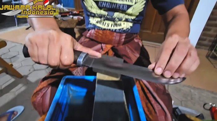 Posisi tangan saat mengasah pisau untuk sembelih kurban