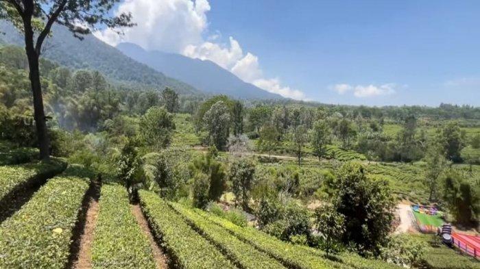 Di tempat wisata Gunung Mas Puncak Bogor ini kamu akan meluncur sembari melihat pemandangan Gunung Pangrango dan hamparan kebun teh di sekitarnya.