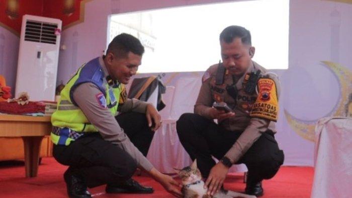Kucing bernama Puso ditemukan polisi di rest area tol Pemalang- Batang. Kucing ini akhirnya kembali ke pemiliknya setelah polisi mengumumkan lewat media sosial.