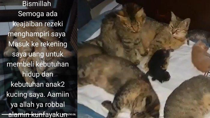 Viral akun Rini Mariany curhat soal kucing. Akun tersebut diduga adalah milik korban pembunuhan mayat dalam koper di Cikarang.