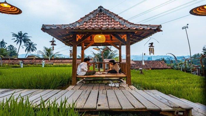 Ngopi di Sawah, tempat kuliner Bogor yang seru untuk menyantap makanan sambil melihat pemandangan dengan suasana pedesaan.