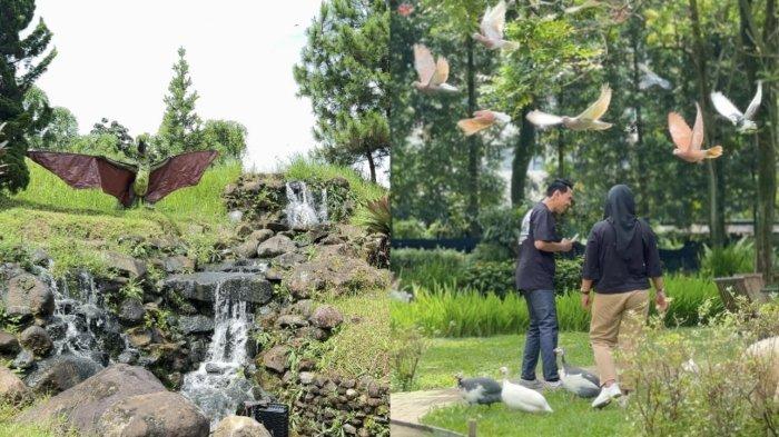 TEMPAT WISATA BOGOR - Pengunjung menikmati suasana alam dinosaurus di Papa Dino Puncak. Area air terjun buatan dengan patung Pteranodon serta taman burung yang interaktif menjadi favorit untuk bersantai dan berinteraksi langsung dengan hewan.