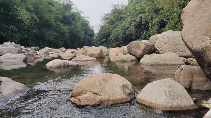 Curug Lontar, tempat wisata air terjun di Bogor berlatar tebing menjulang dengan pepohonan yang merambat di sekitarnya.