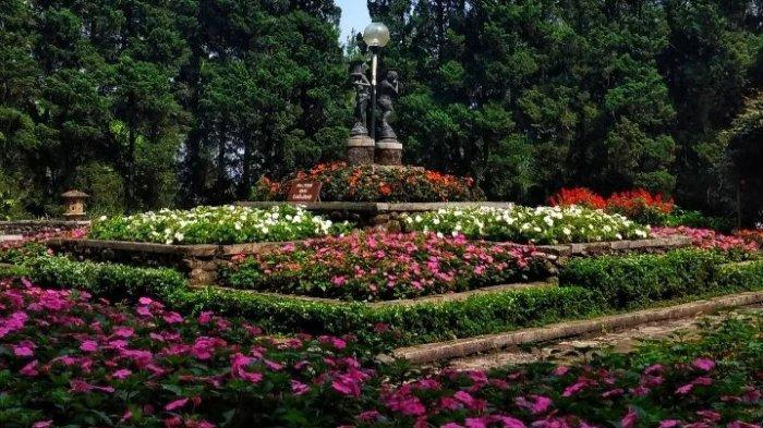 Taman bunga yang indah ini ada di Melrimba Garden jadi tempat wisata daerah Bogor yang ramai dikunjungi wisatawan.
