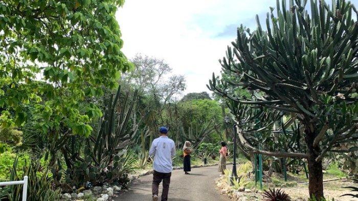 Salah satu area di Taman Meksiko KRB, tempat wisata yang lokasinya dekat dengan Stasiun Bogor.