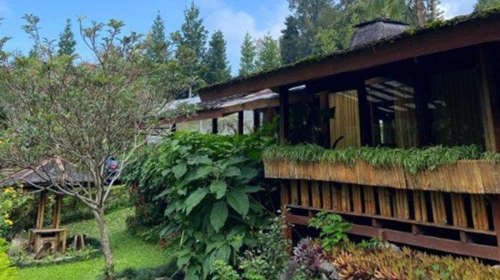 Jika berminat mengunjungi tempat - tempat wisata yang ada di Cianjur, kamu bisa mencoba menikmati keindahan bunga di Agro Inkarla.
