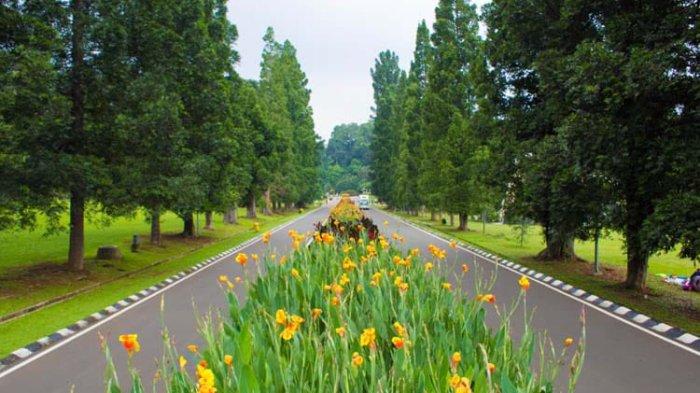 Rekomendasi tempat wisata di Bogor berupa taman, bisa menjadi tempat refreshing melepas penat bagi pengunjung.