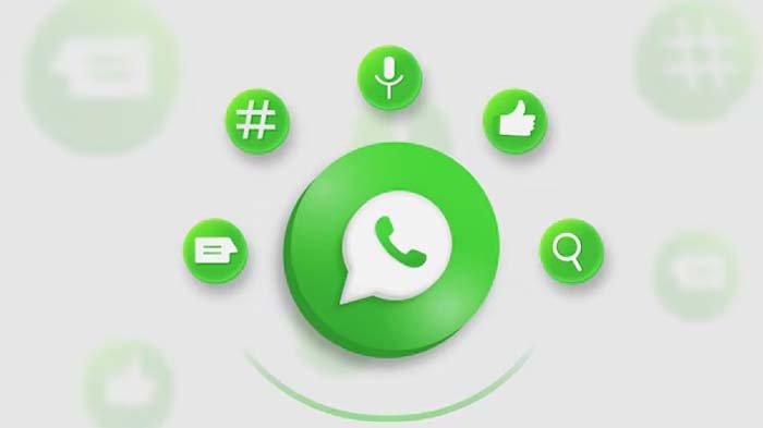 APLIKASI WHATSAPP - Ilustrasi logo WhatsApp, disadur pada Senin (24/2/2025).