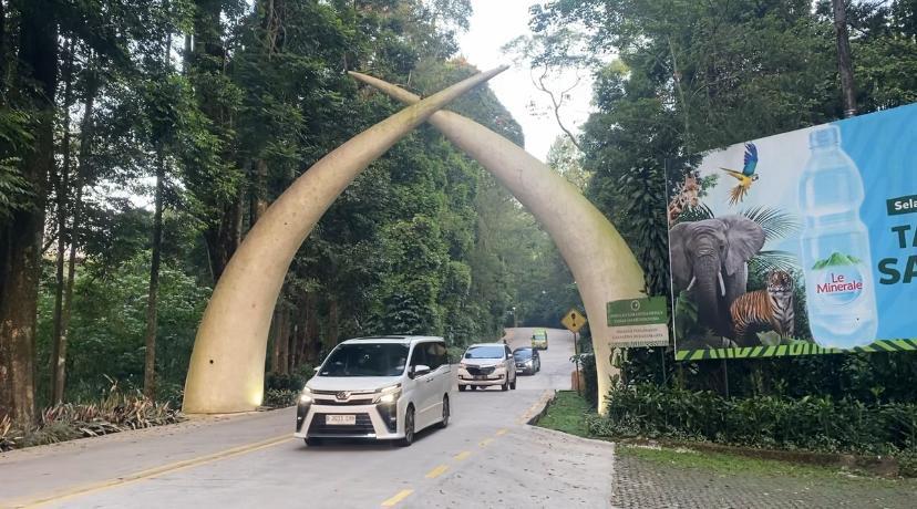 ISU EKSPLOITASI DI TSI - Destinasi wisata Taman Safari Indonesia (TSI) Bogor yang berada di kawasan Puncak Bogor tepatnya di wilayah Desa Cibeureum, Kecamatan Cisarua, Kabupaten Bogor, Rabu (26/6/2024).