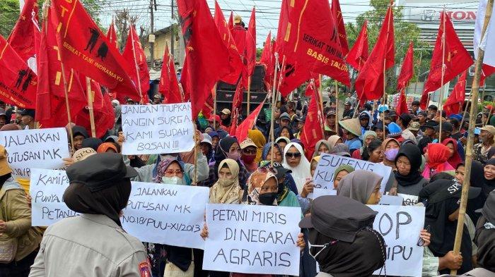 Aksi unjuk rasa petani yang tergabung dalam STI saat demo di depan kantor DKPP Indramayu, Selasa (21/1/2025)