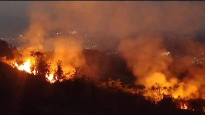 Peristiwa kebakaran lahan terjadi di kawasan konservasi Gunung Masigit Kareumbi, Sumedang, Jawa Barat, Kamis (17/8/2023)
