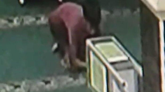 Tangkapan layar rekaman CCTV aksi pencurian uang dari kotak amal di Masjid Jami Nurul Iman, Desa Jatipamor, Kecamatan Panyingkiran, Kabupaten Majalengka, Selasa (3/12/2024)
