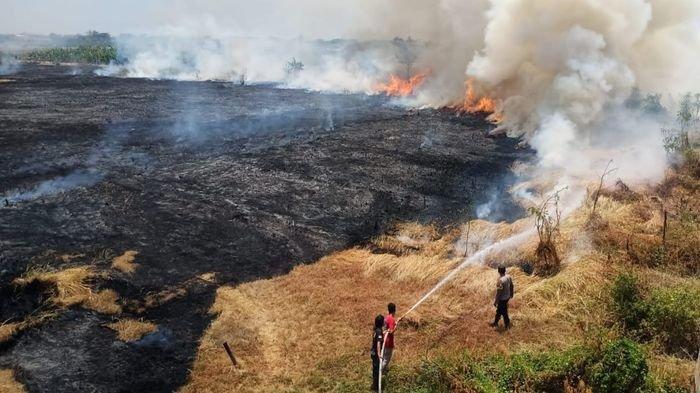 Petugas saat memadamkan kebakaran lahan di wilayah Kecamatan Jatiwangi, Kabupaten Majalengka, belum lama ini.