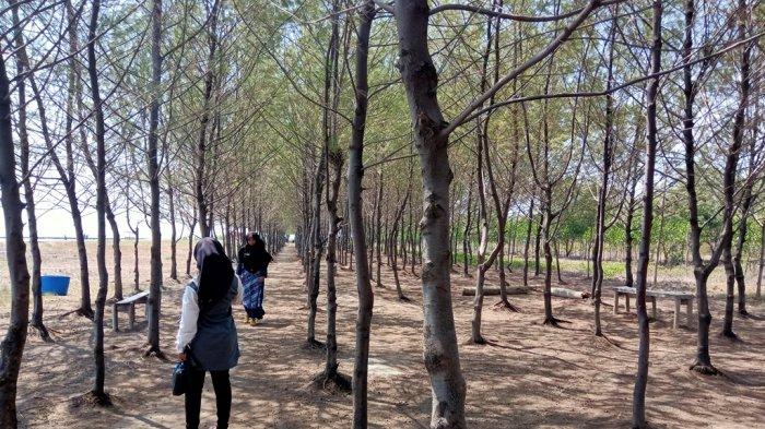 Ekowisata Hutan Mangrove Karangsong Indramayu