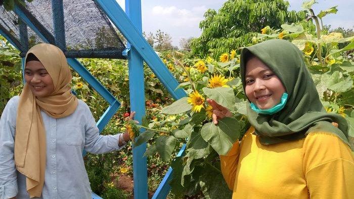 Para pengunjung saat berwisata mengisi libur akhir tahun di Argowisata Situ Bolang Indramayu, Minggu (29/12/2019).