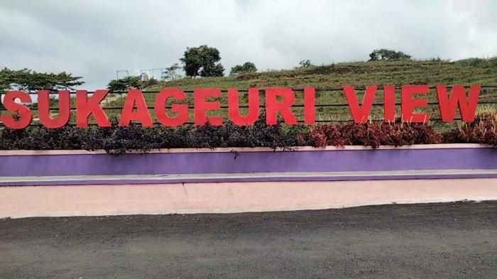 Objek wisata alam terbuka di Sukageuri View yang terletak di Desa Cisantana, Kecamatan Cigugur, Kuningan, Jawa Barat belakangan menjadi titik wajib kunjungan para wisatawan saat menikmati keindahan alam di bawah kaki Gunung Ciremai.