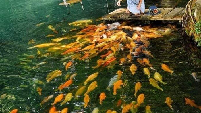 Telaga Cicerem di Kuningan