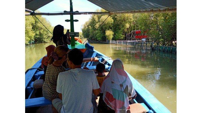 Pengunjung Wisata Hutan Mangrove