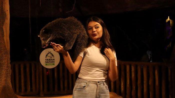 SAFARI NIGHT- Pengunjung menikmati Safari Night di Taman Safari Bogor, Jalan Raya Puncak, Kabupaten Bogor, Jawa Barat, pada Selasa (2/4/2025)
