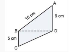 soal phytagoras4