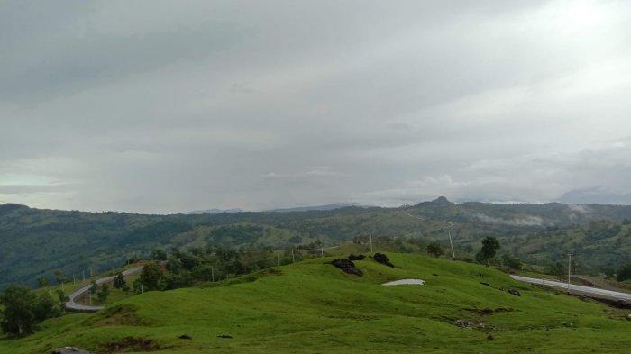 LELOGAMA-
