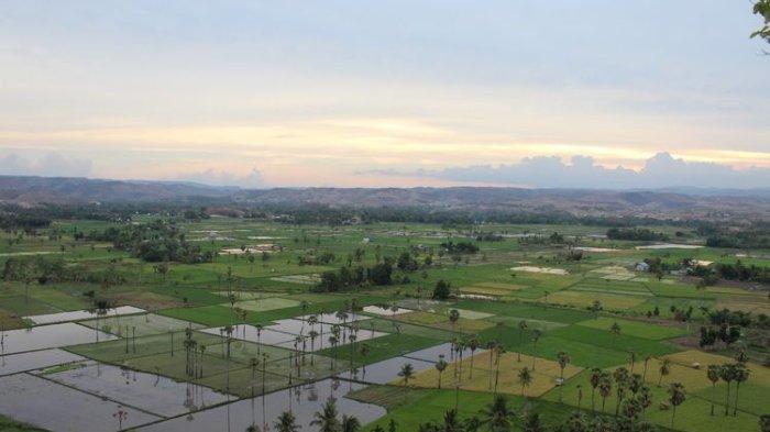 DESTINASI- Bukit Persaudaraan Sumba Timur, NTT.