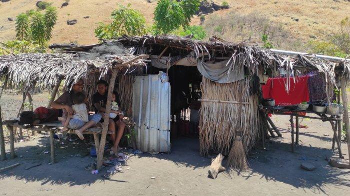 GUBUK REYOT - Gubuk reyot Anastasia Se'o (34) di Dusun Magelo'o Desa Reroroja, Kecamatan Magepanda, Kabupaten Sikka, Flores, NTT, Jumat 22 September 2023.