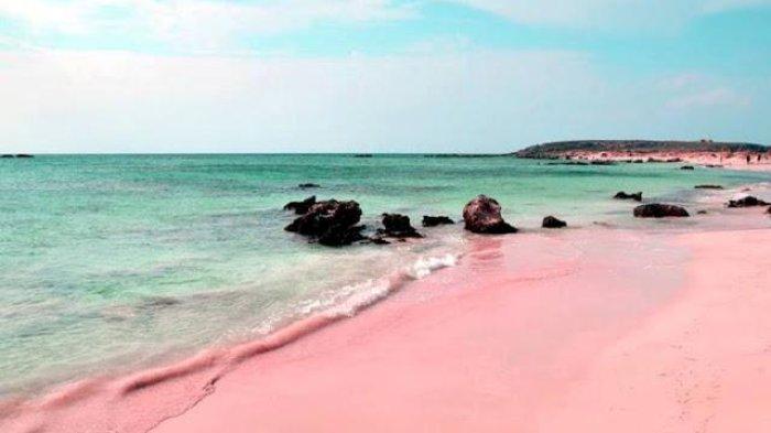 PULAU- Pink Beach di Pulau Komodo, Taman Nasional Komodo, Labuan Bajo, Manggarai Barat.