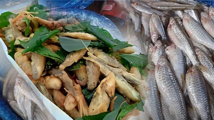 Liburan Ke Wisata Aceh Tengah? 3 Kuliner Khas Gayo Ini Wajib Kamu Santap Saat Ke Negeri Kopi
