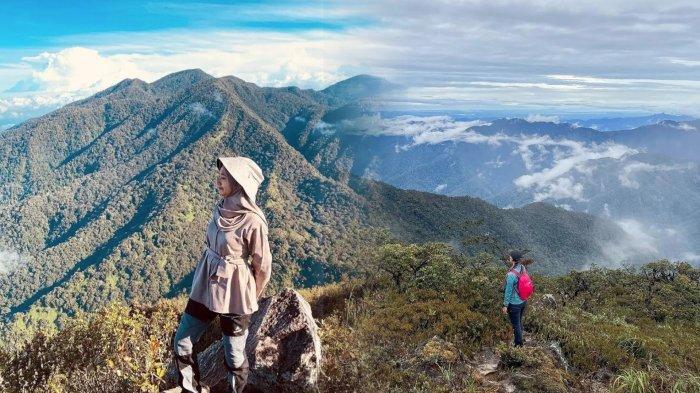 Rekomendasi untuk menjelajahi pesona alam Provinsi Aceh melalui pendakian gunung.