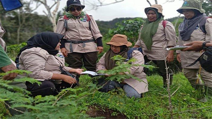 Lembaga Pengelola Hutan Kampung (LPHK) Desa Damaran Baru, Kecamatan Timang Gajah, Kabupaten Bener Meriah, akan menerima penghargaan Kalpataru dari Kementerian Lingkungan Hidup dan Kehutanan (KLHK) RI.