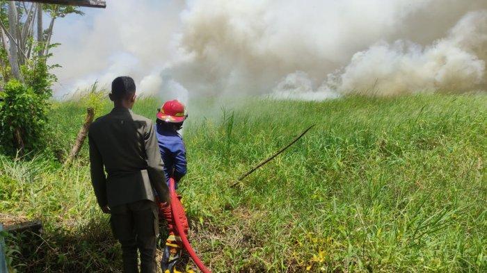 Kebakaran lahan terjadi di Kelurahan Molosipat W Kecamatan Kota Barat, Kota Gorontalo, Provinsi Gorontalo pada Rabu 30 Agustus 2023 pukul 11.30 Wita.