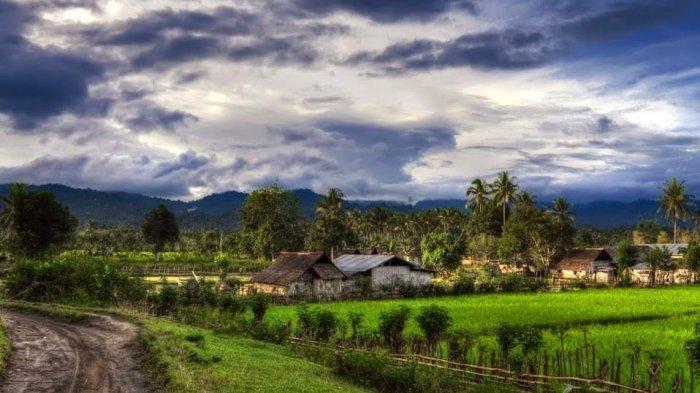 Kondisi Desa Pinogu, Kabupaten Bone Bolango, Provinsi Gorontalo