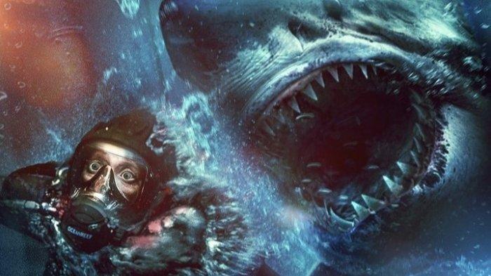 Sinopsis film The Last Breath, tayang 28 Juni 2024 di bioskop Indonesia: terjebak bersama hiu putih.