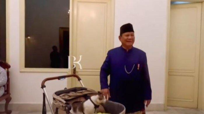 Presiden Prabowo Subianto mengelus kucing kesayangannya, Bobby Kertanegara di Istana Negara