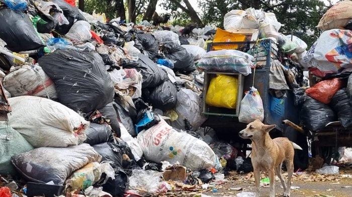 Seekor anjing berdiri di samping tumpukan sampah yang menggunung di Tempat Pembuangan Sementara (TPS) tegallega, Jalan Moch. Toha, Kota Bandung, Jawa Barat, Kamis (12/10/2023).