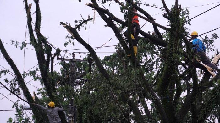 Petugas PLN UP3 Majalaya mengevakuasi dahan pohon yang patah menimpa kabel listrik hingga putus saat melakukan perbaikan jaringan listrik di Jalan Katapang Andir, Desa Bojongmalaka, Kecamatan Baleendah, Kabupaten Bandung, Jawa Barat, Rabu (28/2/2024).
