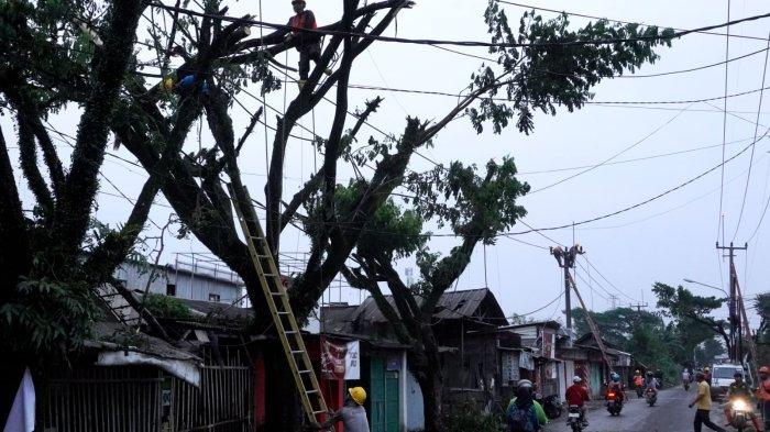 Petugas PLN UP3 Majalaya mengevakuasi dahan pohon yang patah menimpa kabel listrik hingga putus saat melakukan perbaikan jaringan listrik di Jalan Katapang Andir, Desa Bojongmalaka, Kecamatan Baleendah, Kabupaten Bandung, Jawa Barat, Rabu (28/2/2024).